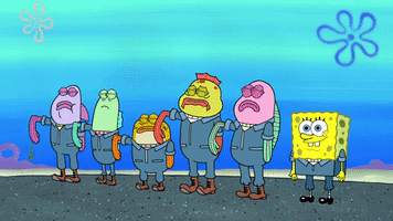 season 9 episode 3 GIF by SpongeBob SquarePants