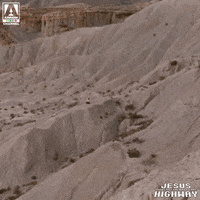 Jesus Kneel GIF by Arrow Video