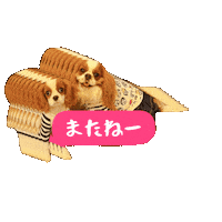 Cavalierkingcharlesspaniel Sticker