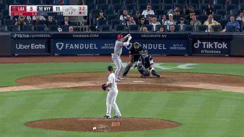 jayjaffe1969 giphyupload GIF