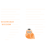 Barkow_Consulting thinking wisdom wednesday owl Sticker