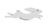 Pace Sticker by Pacemaker Products