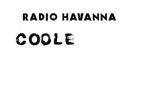 Veto Sticker by Radio Havanna