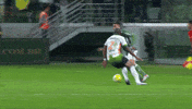 gabriel jesus moleque liso GIF by SE Palmeiras