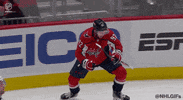 Ice Hockey Sport GIF by NHL