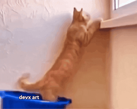 Cat Window GIF by DevX Art