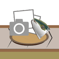 Picture Photo Sticker