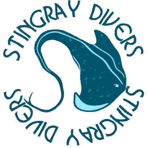 StingrayDivers giphyupload fish colombia diving Sticker