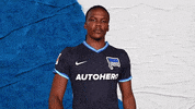 Bundesliga Berlin GIF by Hertha BSC