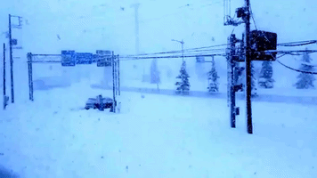 Severe Blizzard Batters Japanese Island of Hokkaido