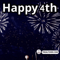 Real Estate Usa GIF by Trealtorr