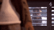 Window See GIF by Hollyoaks