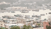 starcinemaofficial  GIF