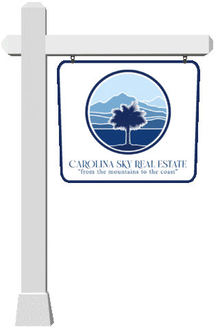 carolinaskyre giphyupload carolinaskyre csre carolinasky Sticker