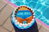 cake miami GIF by Signe Pierce