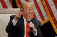 Fun Trump GIF by Gallery.fm
