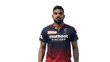 Cricket Ipl Sticker by Royal Challengers Bangalore