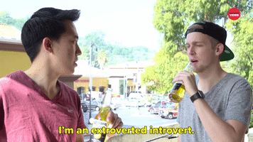 I'm An Extroverted Introvert