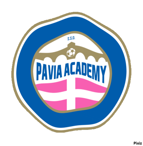 paviaacademyssd giphyupload Sticker
