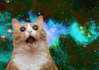Space Cat GIF