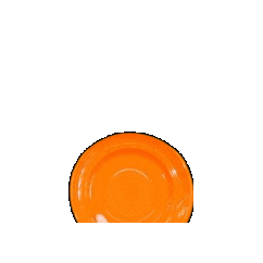 Orange Plate Sticker by Tuxton China