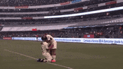 liguilla s13mpreguilas GIF by Club America