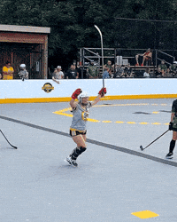 Ball Hockey GIF by USABH_giphy