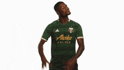 Portland Timbers GIF by Timbers