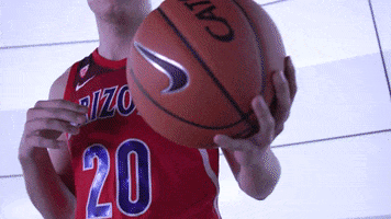 Arizona Wildcats GIF by Arizona Men's Basketball