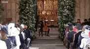 royal wedding cello GIF by BBC