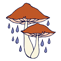 rain mushrooms Sticker