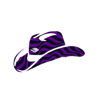 Hat Texas Sticker by Audible