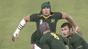 South Africa Win GIF by Rugby World Cup