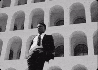 Prince George Pg GIF by IDK