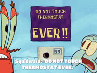 season 5 new digs GIF by SpongeBob SquarePants