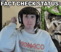 Fact Check Thumbs Up GIF