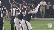 Houston Texans Football GIF by NFL
