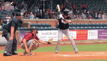EvansvilleOtters baseball looking strikeout otters GIF