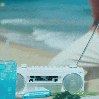 Jin Bts Beach GIF