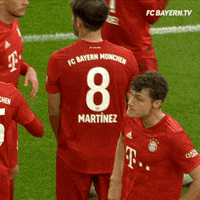 fcbayern football soccer bundesliga futbol GIF