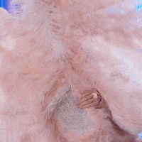 Katy Perry Dancing GIF by American Idol