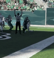 Sam Cfl GIF