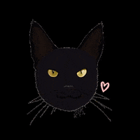 pawtraitsbymrm black cat nyx nyxchapter nyx chapter GIF