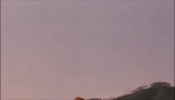 shao lin zu qiu GIF