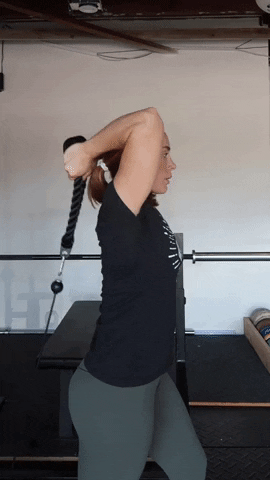 megsquats giphyupload GIF