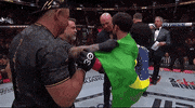 Mixed Martial Arts Sport GIF by UFC