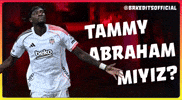 Ev Abraham GIF
