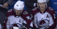 ice hockey GIF by NHL