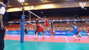 Canadian Wow GIF by Volleyball World