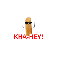 haldiramsnagpur ready to eat dosa frozen food chole Sticker